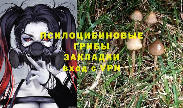 PSILOCYBIN Богородск